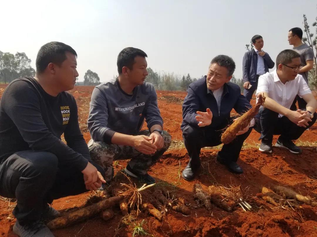 尊龙凯时【首页官网】人生就是博!